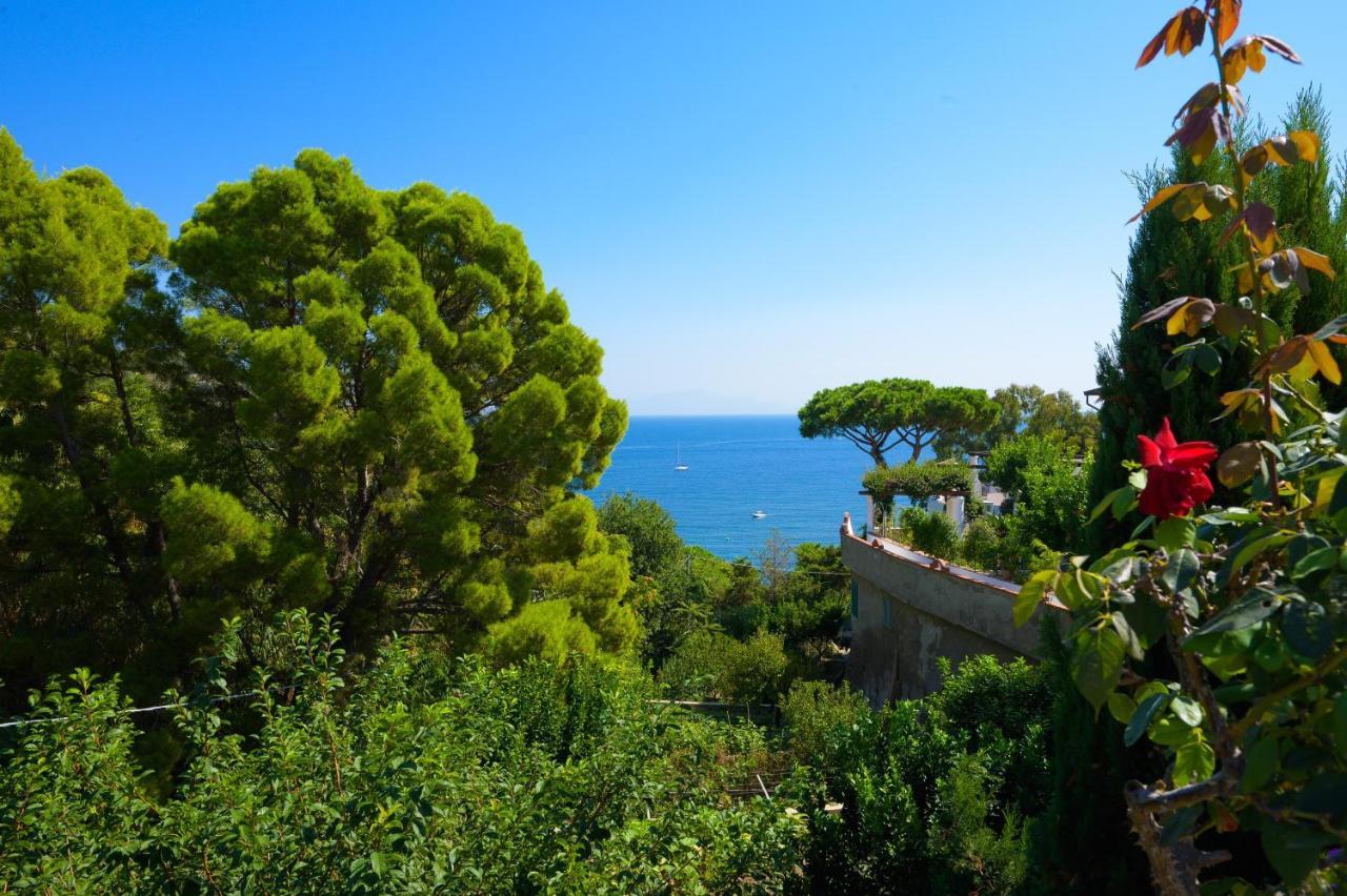 Hotel Parco Cartaromana Ischia Exterior photo