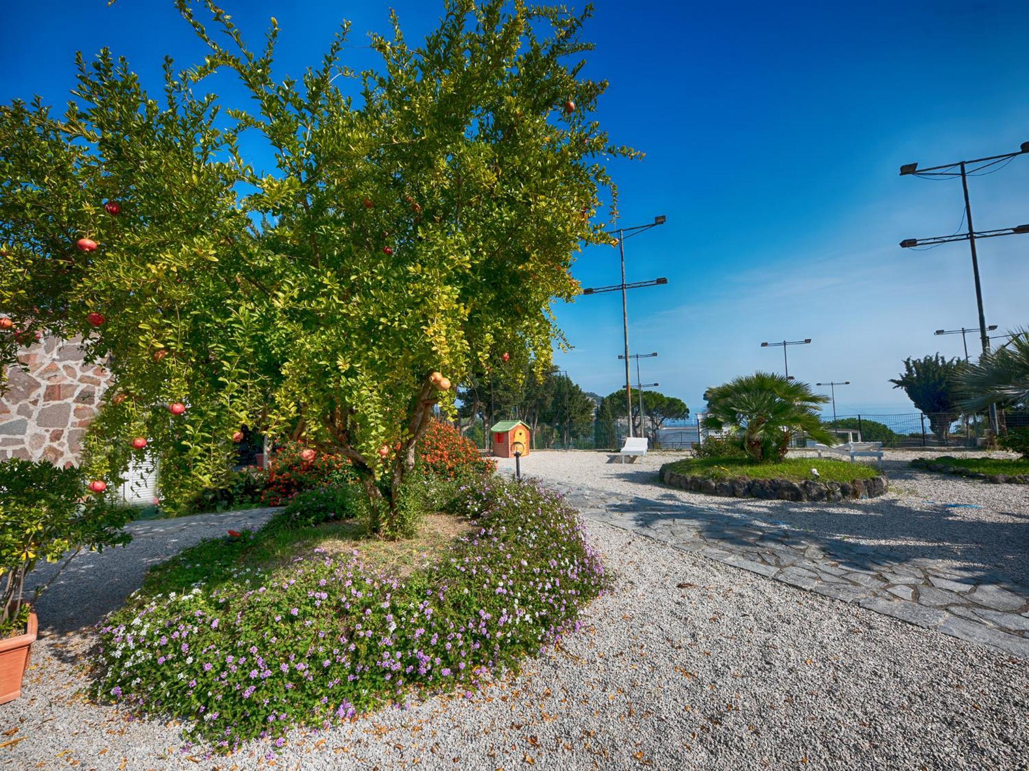 Hotel Parco Cartaromana Ischia Exterior photo