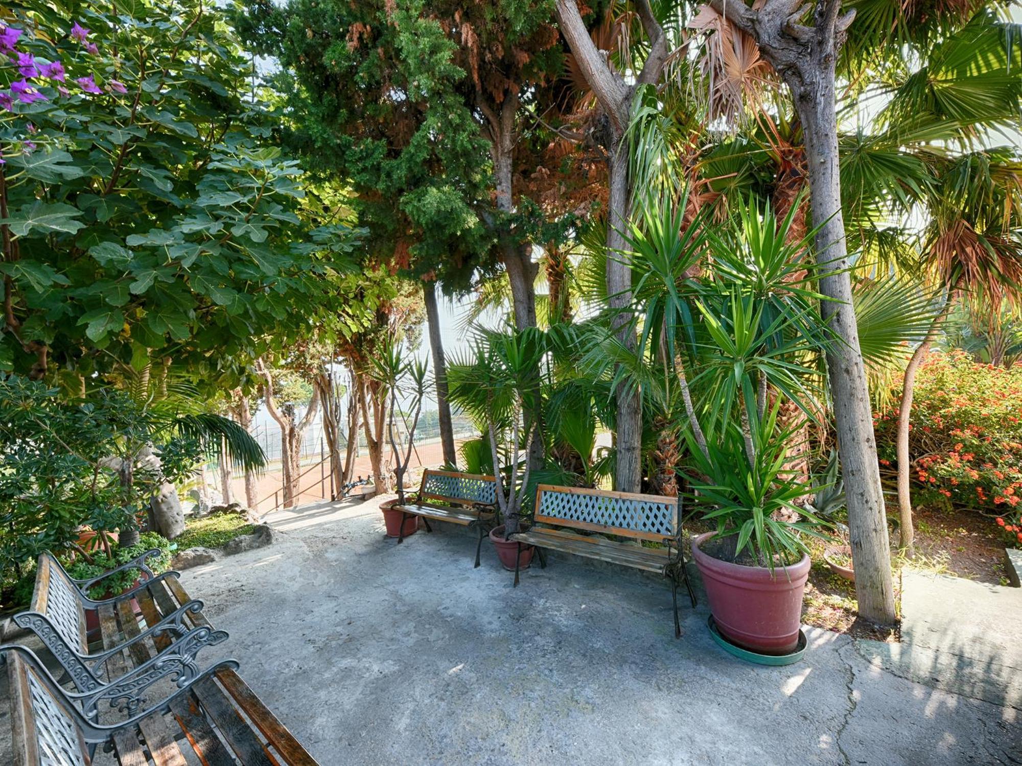 Hotel Parco Cartaromana Ischia Exterior photo